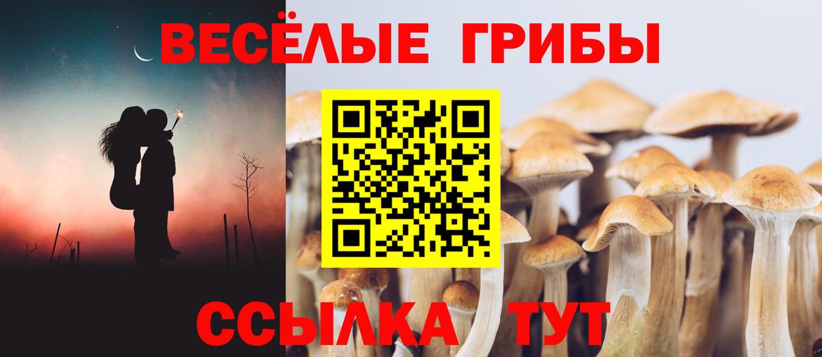 Псилоцибиновые грибы Cubensis  Вход с VPN  Белгород 